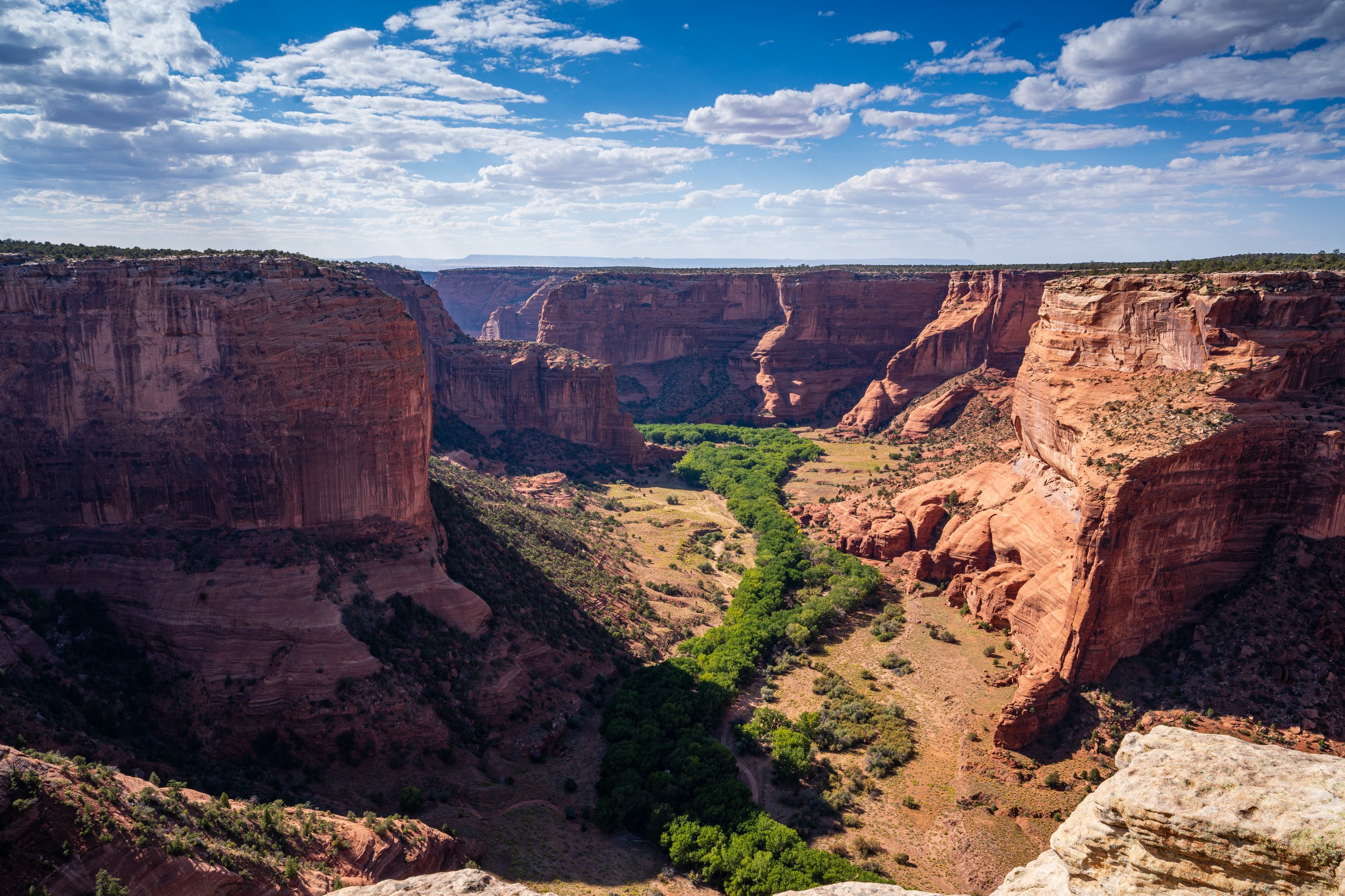 USA 2024 5 Sterne 81